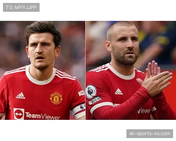 哈兰德强强对话关键战隐身问题解析